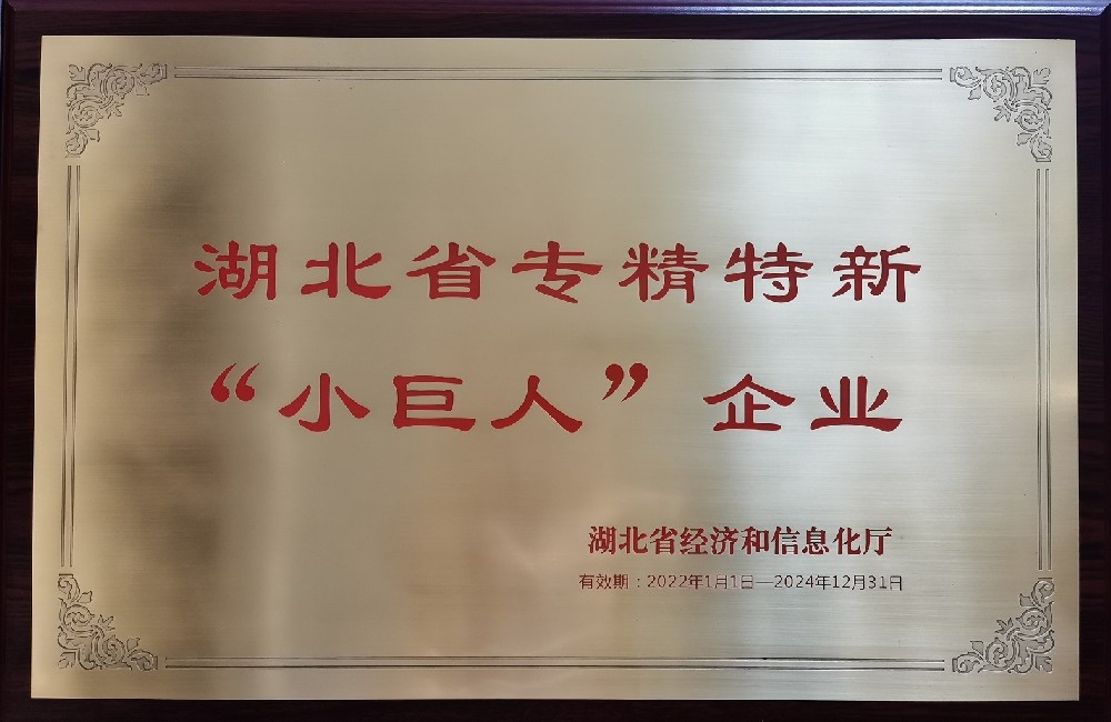 湖北震序車(chē)船科技股份有限公司獲湖北省專(zhuān)精特新“小巨人”企業(yè)稱(chēng)號(hào)